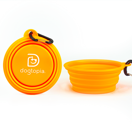 Collapsible Dog Bowl - DOGBWCLSCFDBL