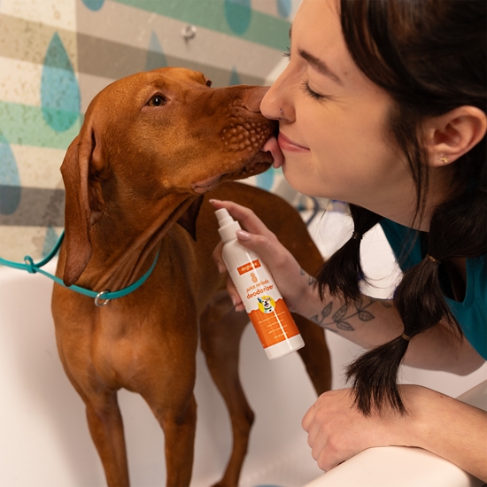 Deodorizer Spray for Dogs, Pina Colada Scent 8oz - SPADO02PC8O