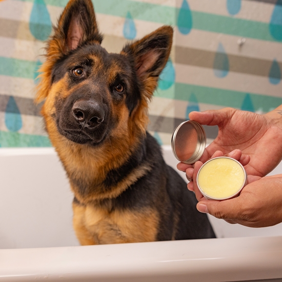 3-in-1 Balm for a Dry Nose, Elbows and Paws - Soothes, Heals, and Moisturizes 2oz - SPAPB01SB2O