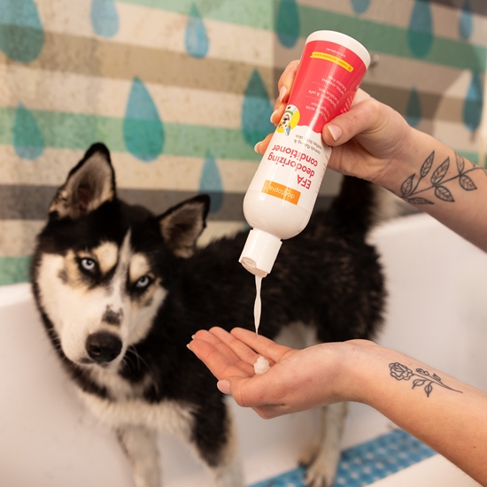 EFA Deodorizing Dog Conditioner for Dry Flaky Skin, Cherry Blossom Scent 12 oz - SPACO06CBDH12O