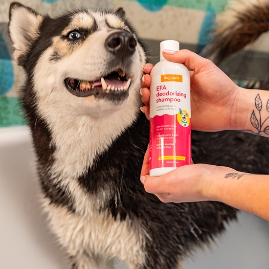 EFA Deodorizing Dog Shampoo for Dry Flaky Skin, Cherry Blossom Scent 12 oz - SPASH11CBDH12O