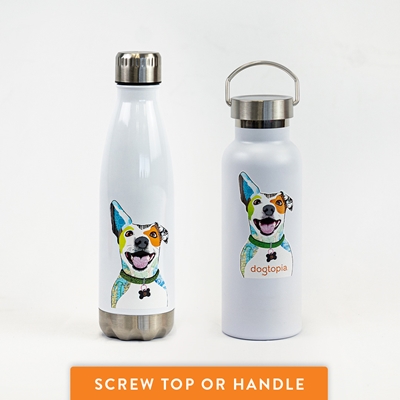 Dogtopia Stainless Steel Water Bottle (Two Options) 
