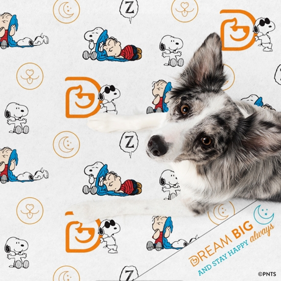 Blanket Dogtopia & Snoopy Dog  - DOGBLSNWH